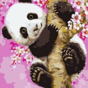 Tablou PM703 Picteaza Dupa Numere, cu rama, 20x30 cm, Panda in pom de cires - Img 1