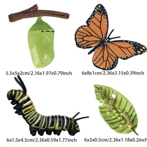 Set 4 Piese Ciclul Vietii Fluture - Figurine Educationale si Decorative - Img 7