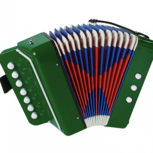 Acordeon cu butoane - Img 3