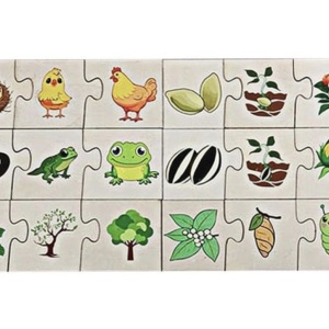 Puzzle de Asociere cu Animale si evolutia lor, 24 Piese - Img 7
