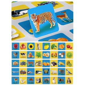 Set 20 carduri STEM, de stimulare siinvatare vizuala, Poze, 12-36 luni - Img 3