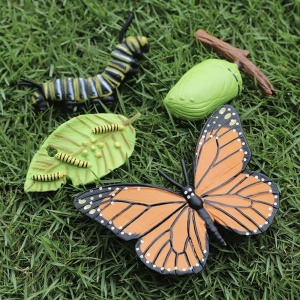 Set 4 Piese Ciclul Vietii Fluture - Figurine Educationale si Decorative - Img 4