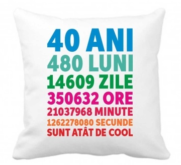 Perna 40 x 40 cm personalizata cu imprimeu "40ANI 480LUNI..." , poliester, alba, CRD PRINT
