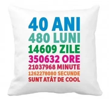 Perna 40 x 40 cm personalizata cu imprimeu "40ANI 480LUNI..." , poliester, alba, CRD PRINT