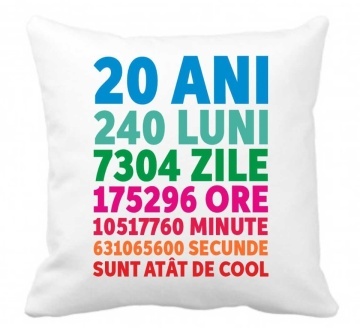 Perna 40 x 40 cm personalizata cu imprimeu "20ANI 240LUNI..." , poliester, alba, CRD PRINT