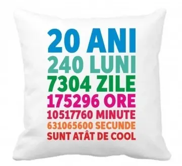 Perna 40 x 40 cm personalizata cu imprimeu "20ANI 240LUNI..." , poliester, alba, CRD PRINT