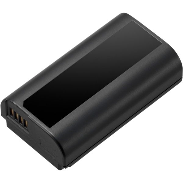 Panasonic DMW-BLJ31E, Acumulator pentru Lumix S1 / S1R