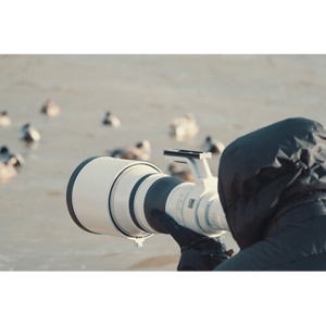 Obiectiv Canon RF 800mm f/5.6 L IS USM, full-frame
