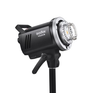 MS200V F Dual Studio Flash Kit