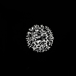 Kit Filtre Gobo Nanlite AS-GB-FMM-SET2 pentru proiectoarele PJ-FZ60-19/36