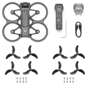 Avata 2 (Drone Only)