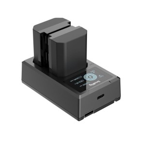 3824B NP FZ100 Camera Battery and Charger Kit