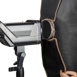 4200 LA R30120 Strip Softbox