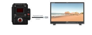 SEETEC 12G320F 32 inch 4K 8K Broadcast Production HDR Monitor