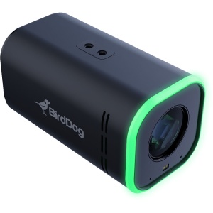 BirdDog MAKI Ultra 4K, Camera cu 20x Zoom (Neagra)