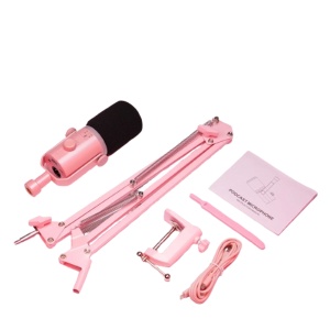 Feelworld PM1-AS-P Roz, Microfon Dinamic Cardioid, RGB, XLR si USB-C, brat articulat