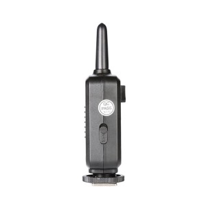 MS300V D Trio Studio Flash Kit