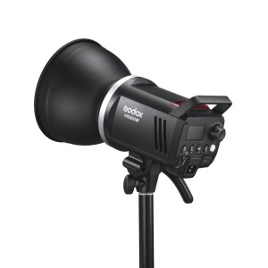 MS300V F Dual Studio Flash Kit
