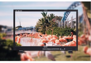 SEETEC 12G320F 32 inch 4K 8K Broadcast Production HDR Monitor