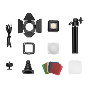 3469 RM01 LED Video Light Kit