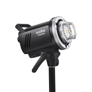 MS300V F Dual Studio Flash Kit