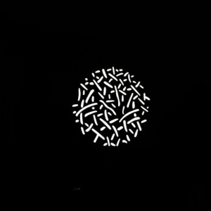 Kit Filtre Gobo Nanlite AS-GB-FMM-SET1 pentru proiectoarele PJ-FZ60-19/36