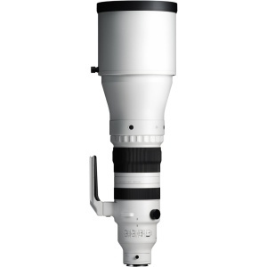 Sigma 300-600mm f4 DG OS Sports, Obiectiv Zoom Telephoto, Sony E-mount