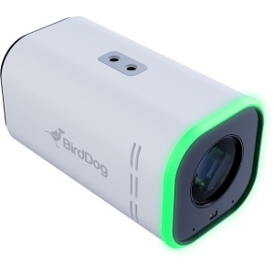 BirdDog MAKI Ultra 4K, Camera cu 20x Zoom (Alba)