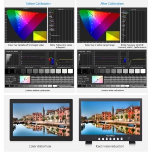 FeelWorld FVM215-1000, Monitor Broadcast 21.5", 1000 cd/m², 4K60, HDMI & 3G-SDI, V-Mount