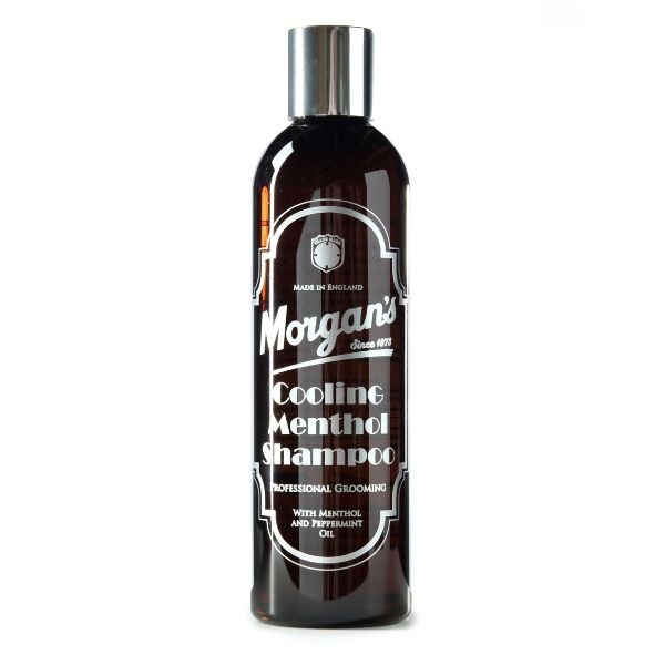 Morgan's Men Cooling Menthol hajsampon 250ml