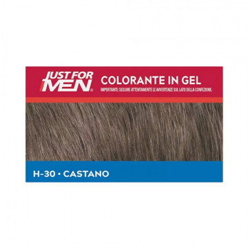 Sampon colorant Just for Men castaniu H-30