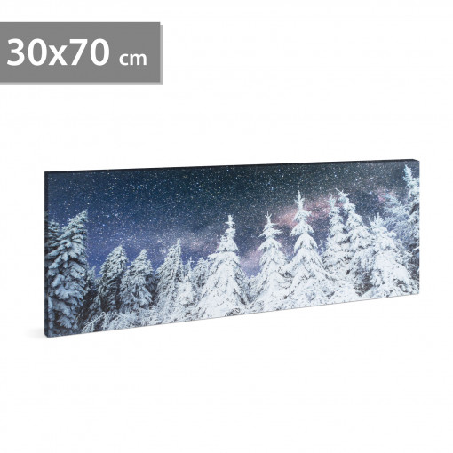 Tablou decorativ cu LED - 70 x 30 cm - peisaj de iarnă
