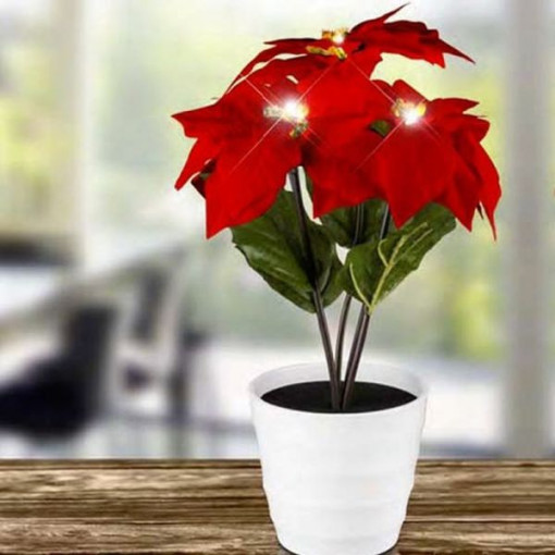 Craciunita decorativa cu led, 3v, 35 cm, home