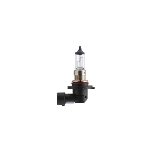 BEC FAR H10 PY20D 45W 12V VISION PHILIPS - Img 4