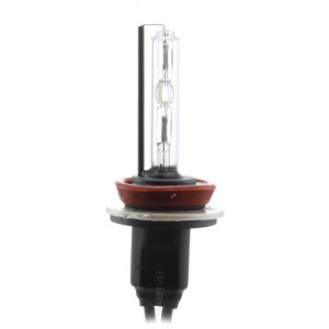 Bec Xenon H8-4,3K - CARGUARD - Img 1