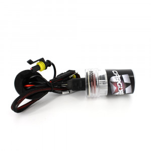 Bec Xenon H8-6000K - CARGUARD - Img 2