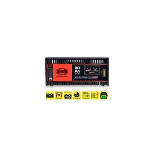 REDRESOR AKKUENERGY PRO 300 8A 12V - Img 4