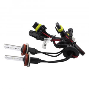 Bec xenon H9-6K - CarGuard - Img 5