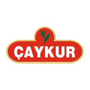 Caykur