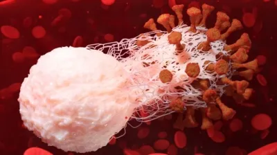 Inflamație virală sau bacteriană? Cum faci diferența și când să mergi la medic