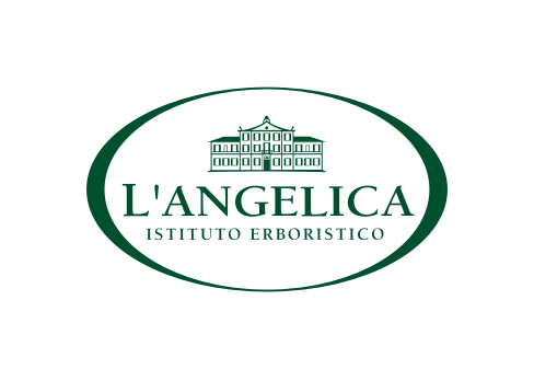 L'ANGELICA