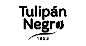 TULIPAN NEGRO