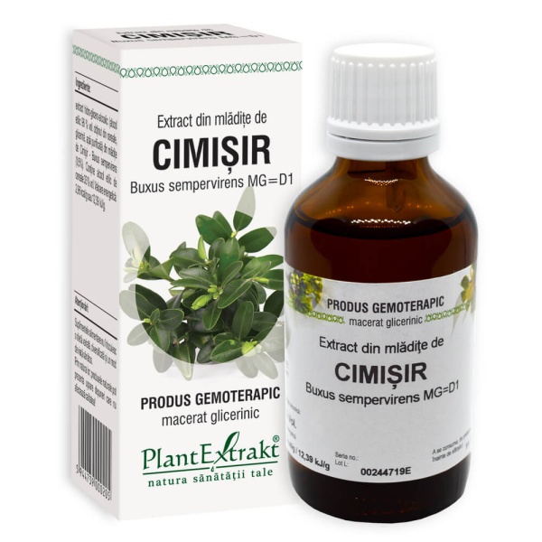Extract din mladite de cimisir, 50ml, PlantExtrakt