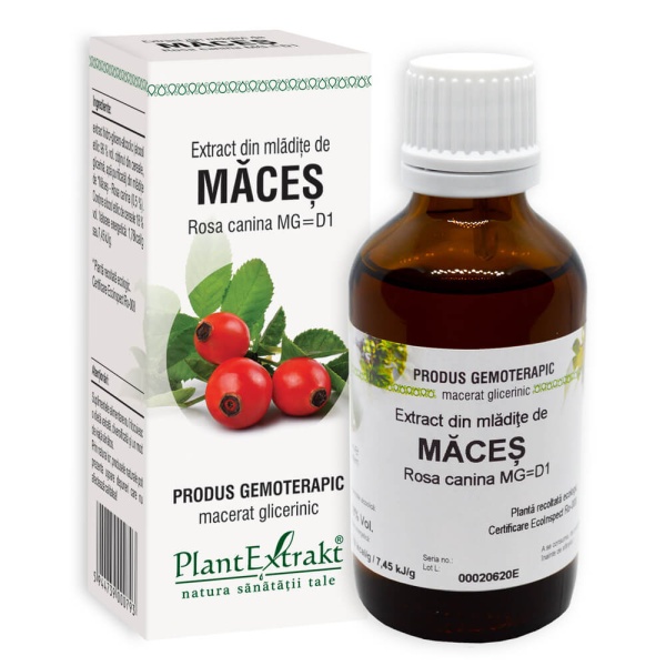 Extract din mladite de maces, 50ml, PlantExtrakt