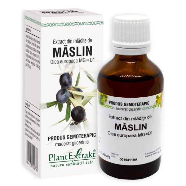 Extract din mladite de maslin, 50ml, PlantExtrakt
