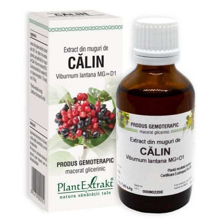 Extract din muguri de calin, 50ml, PlantExtrakt
