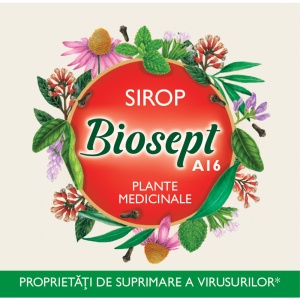Biosept sirop, A16, 250 ml, Fares - Img 3