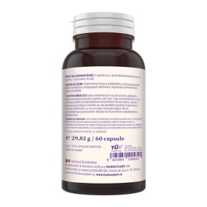 Calmenor Zi, pentru claritate mentala si confort in perioada menopauzei, 60 capsule, Faunus Plant - Img 3
