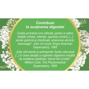 Ceai Coada Soricelului iarb D 115, 50 g, Fares - Img 4