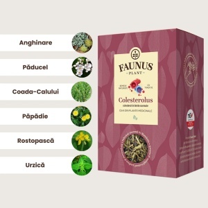 Ceai Colesterolus, 90 g, Faunus Plant - Img 4